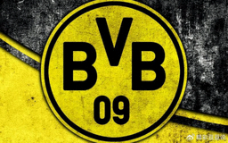 6t体育 专业体育赛事平台 logo